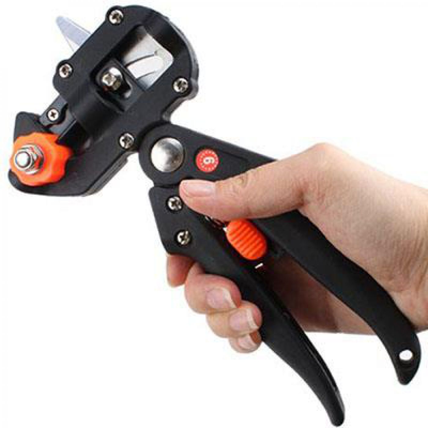 Φωτογραφία