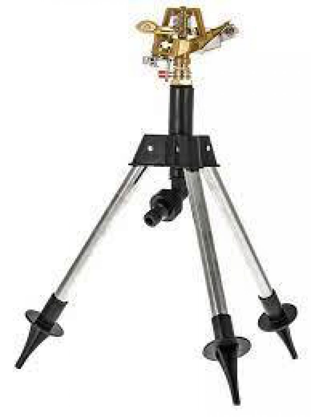 Φωτογραφία