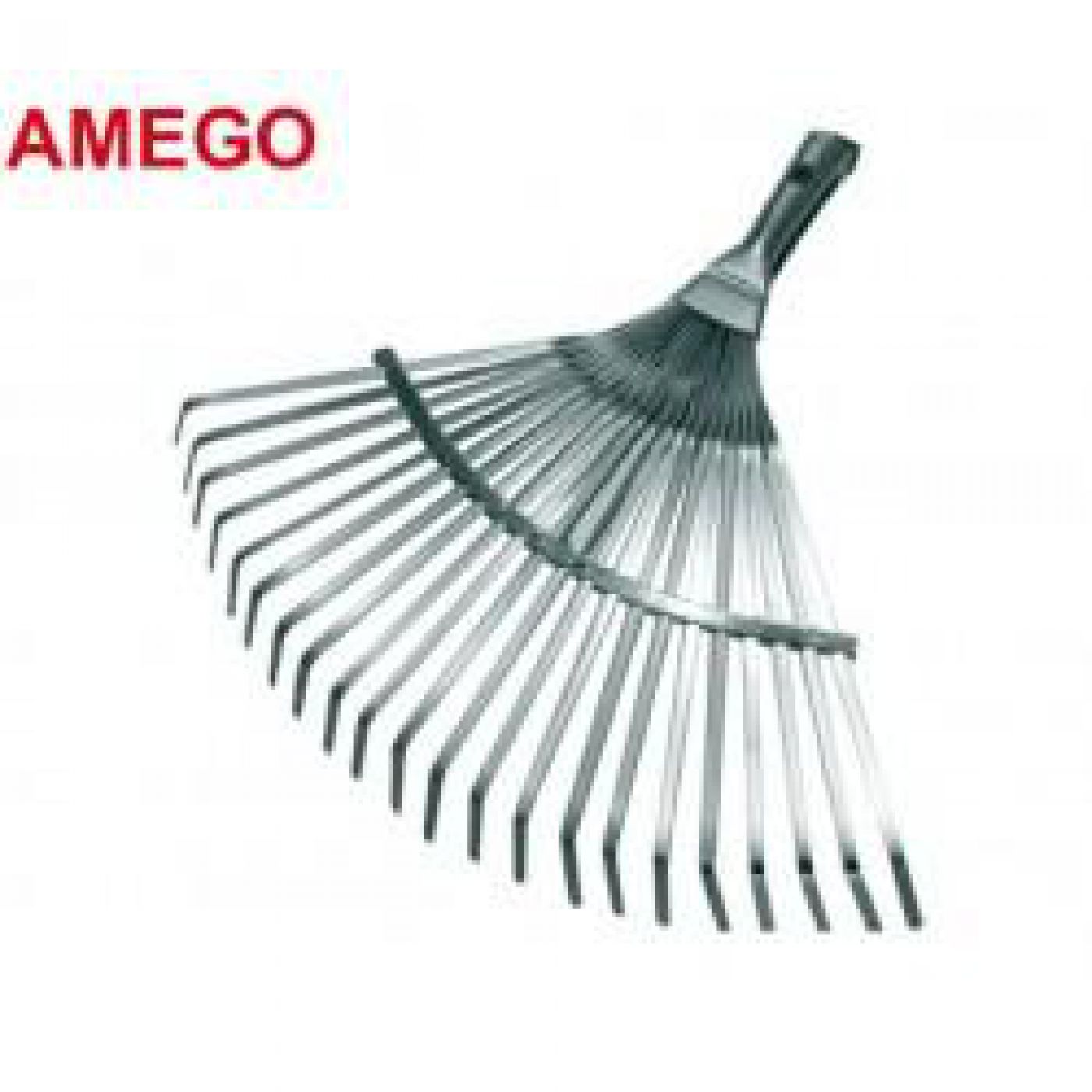 Φωτογραφία