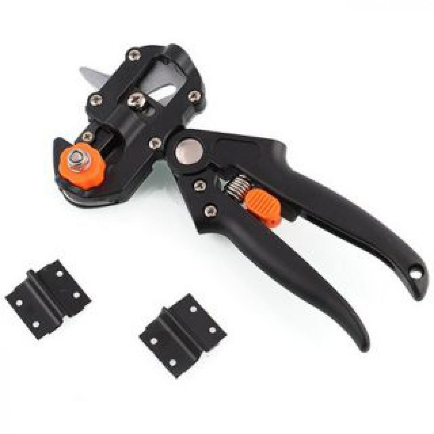 Φωτογραφία