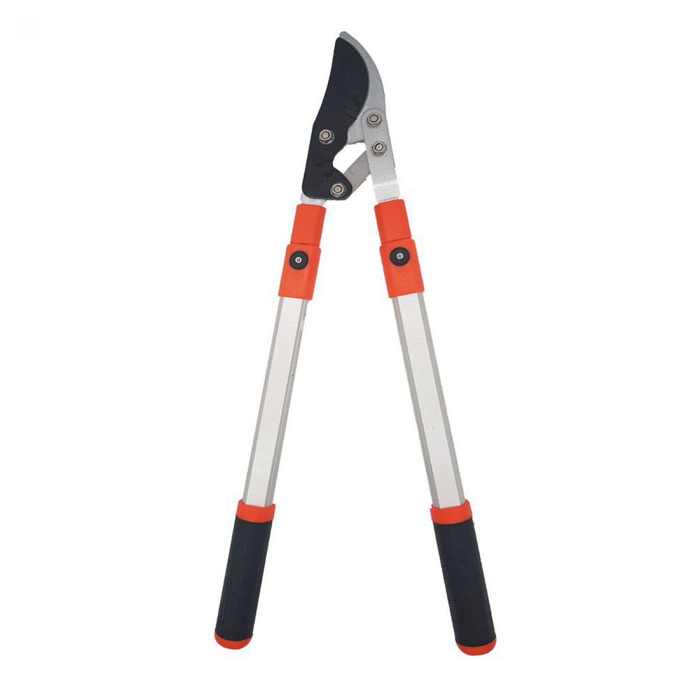 Φωτογραφία