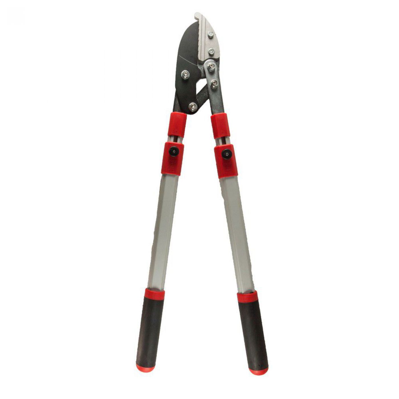 Φωτογραφία