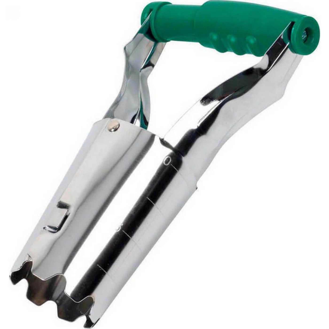 Φωτογραφία