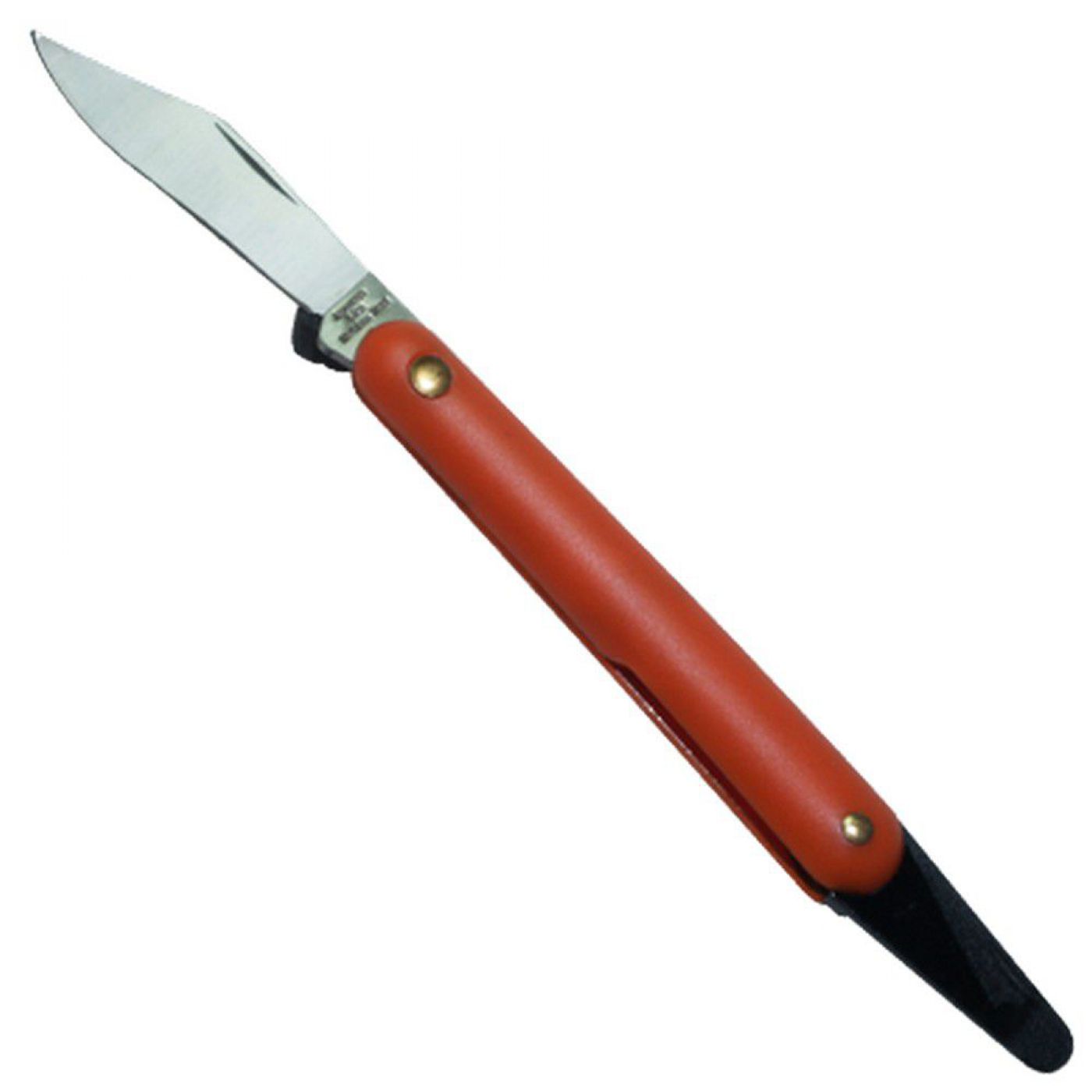 Φωτογραφία