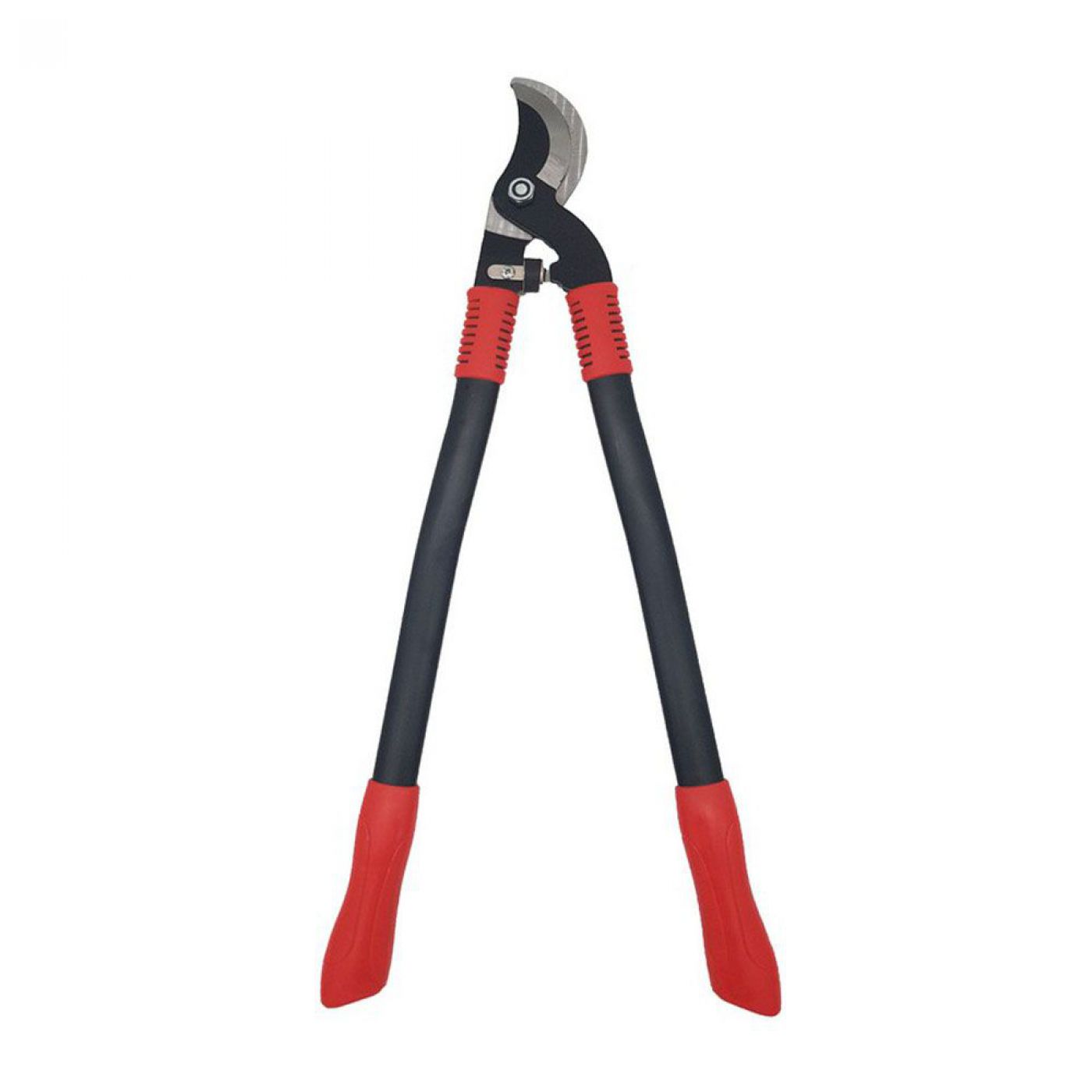 Φωτογραφία