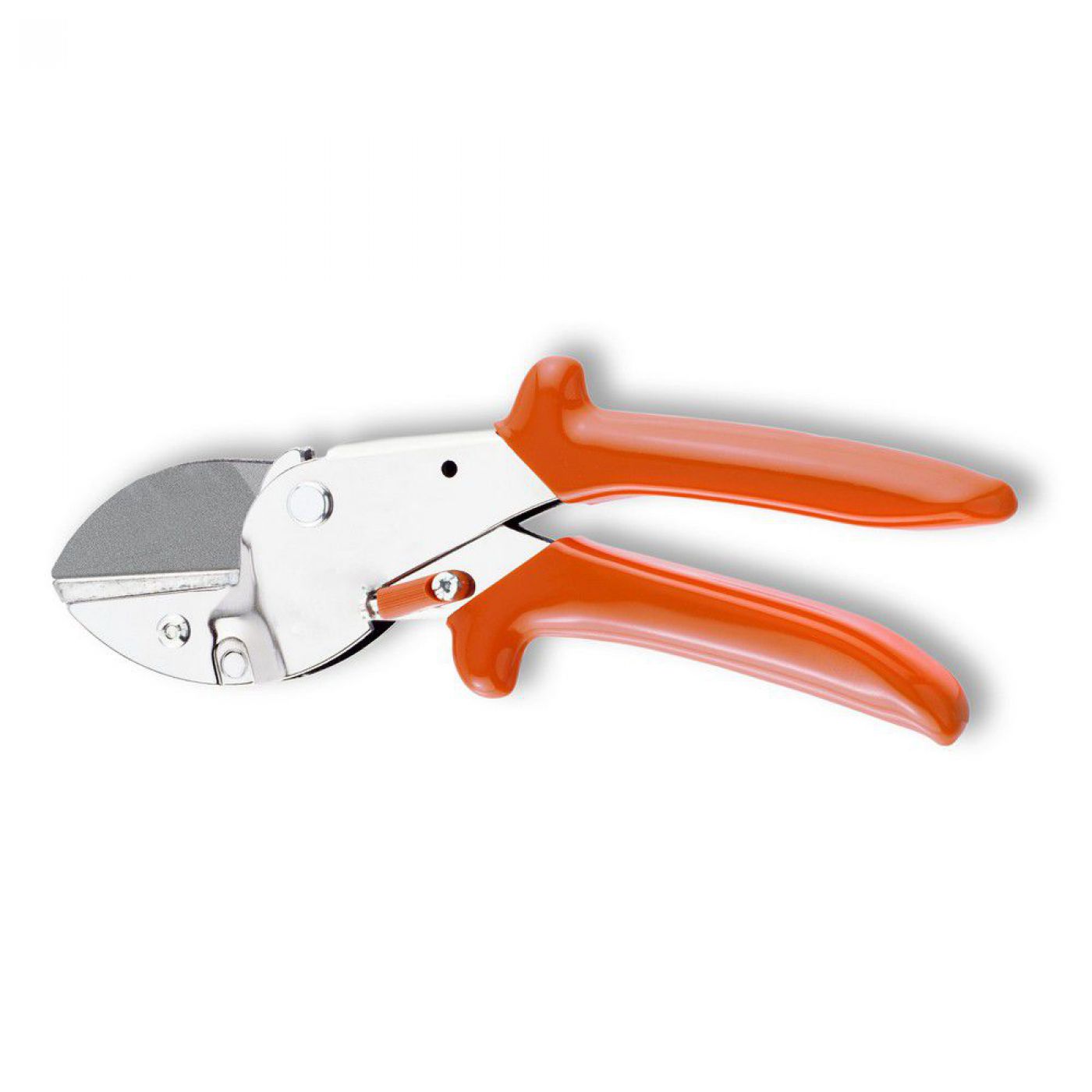 Φωτογραφία