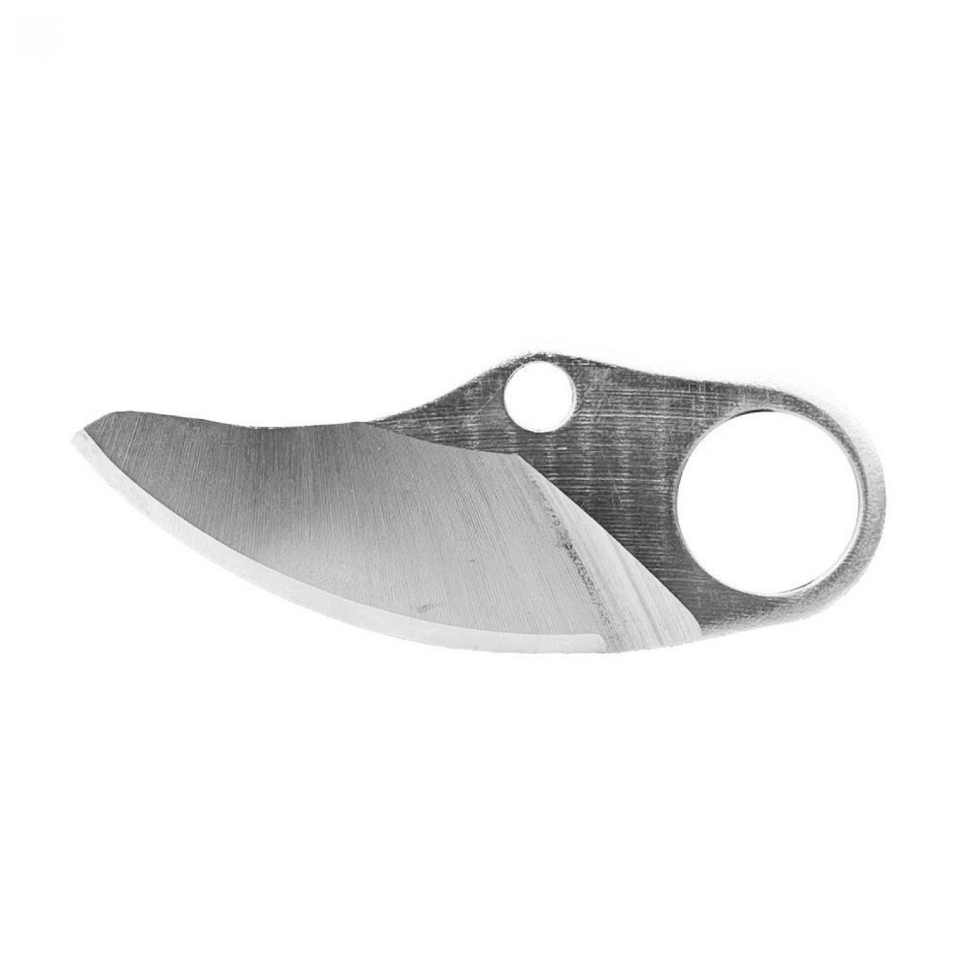 Φωτογραφία