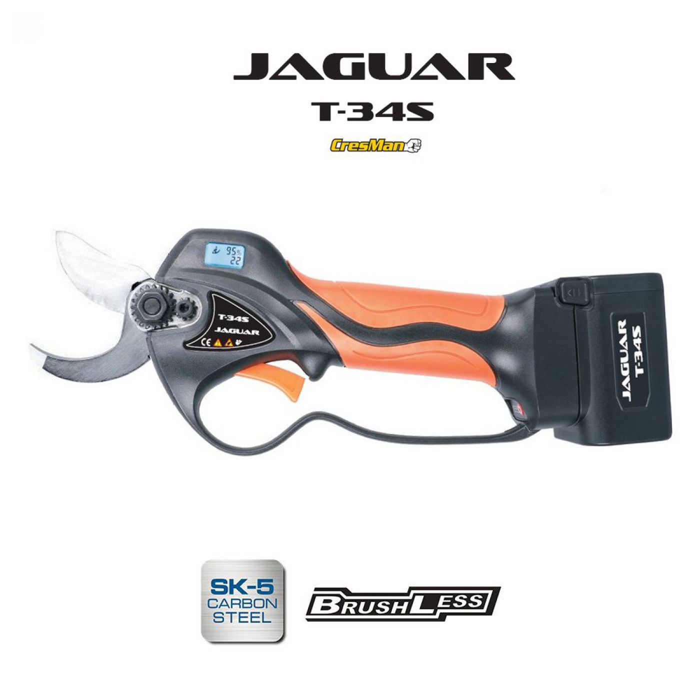 Φωτογραφία