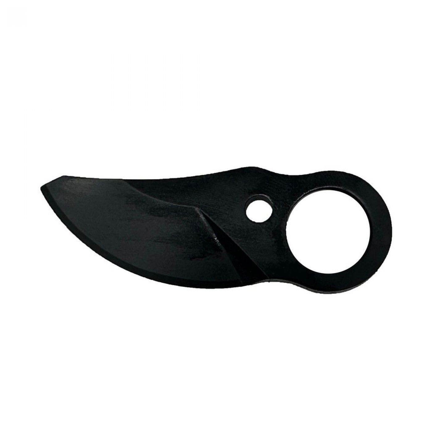 Φωτογραφία