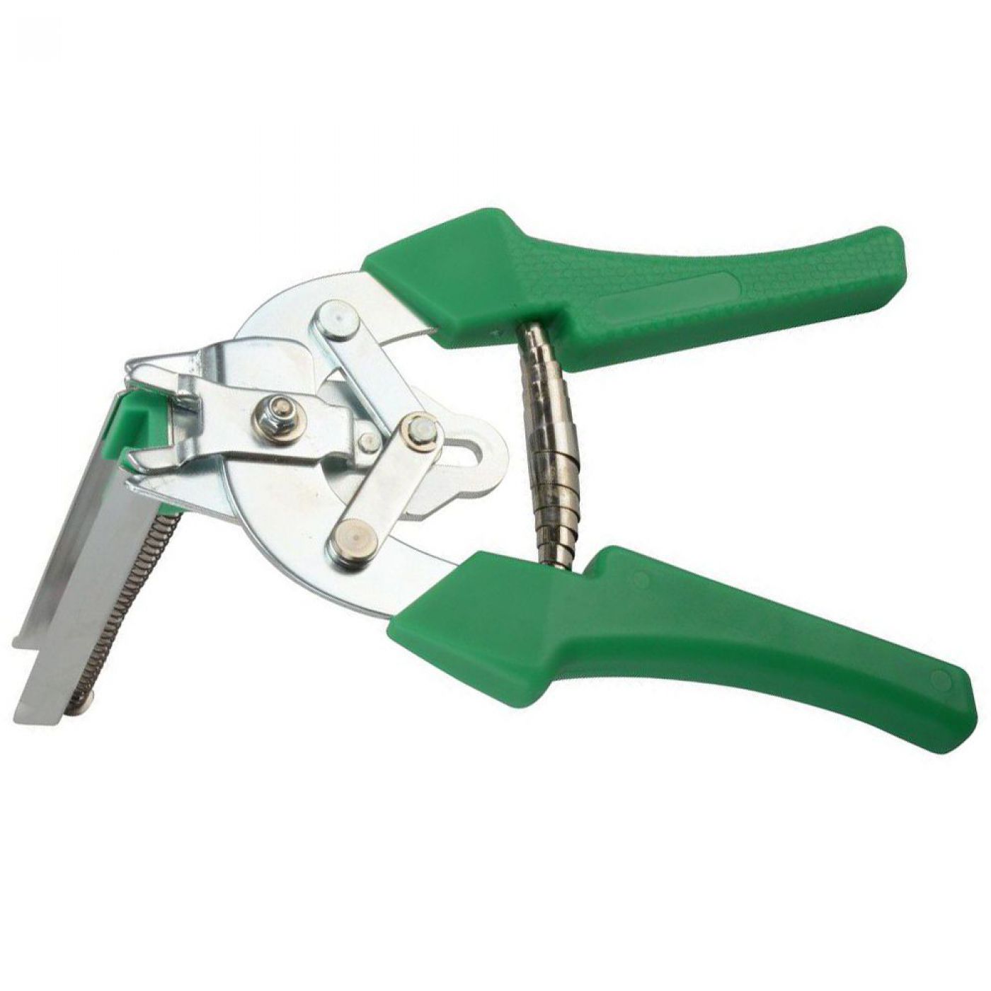 Φωτογραφία