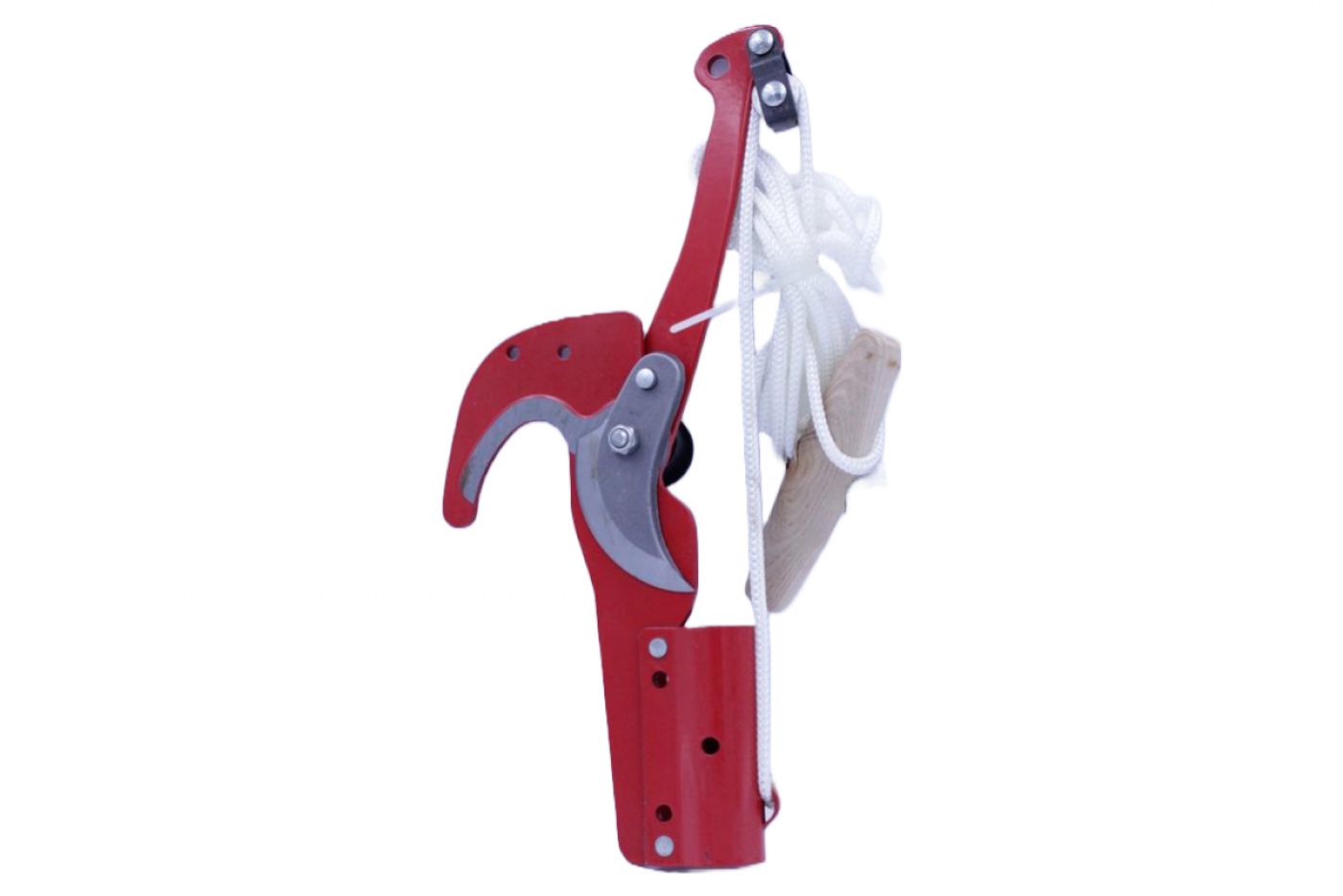 Φωτογραφία