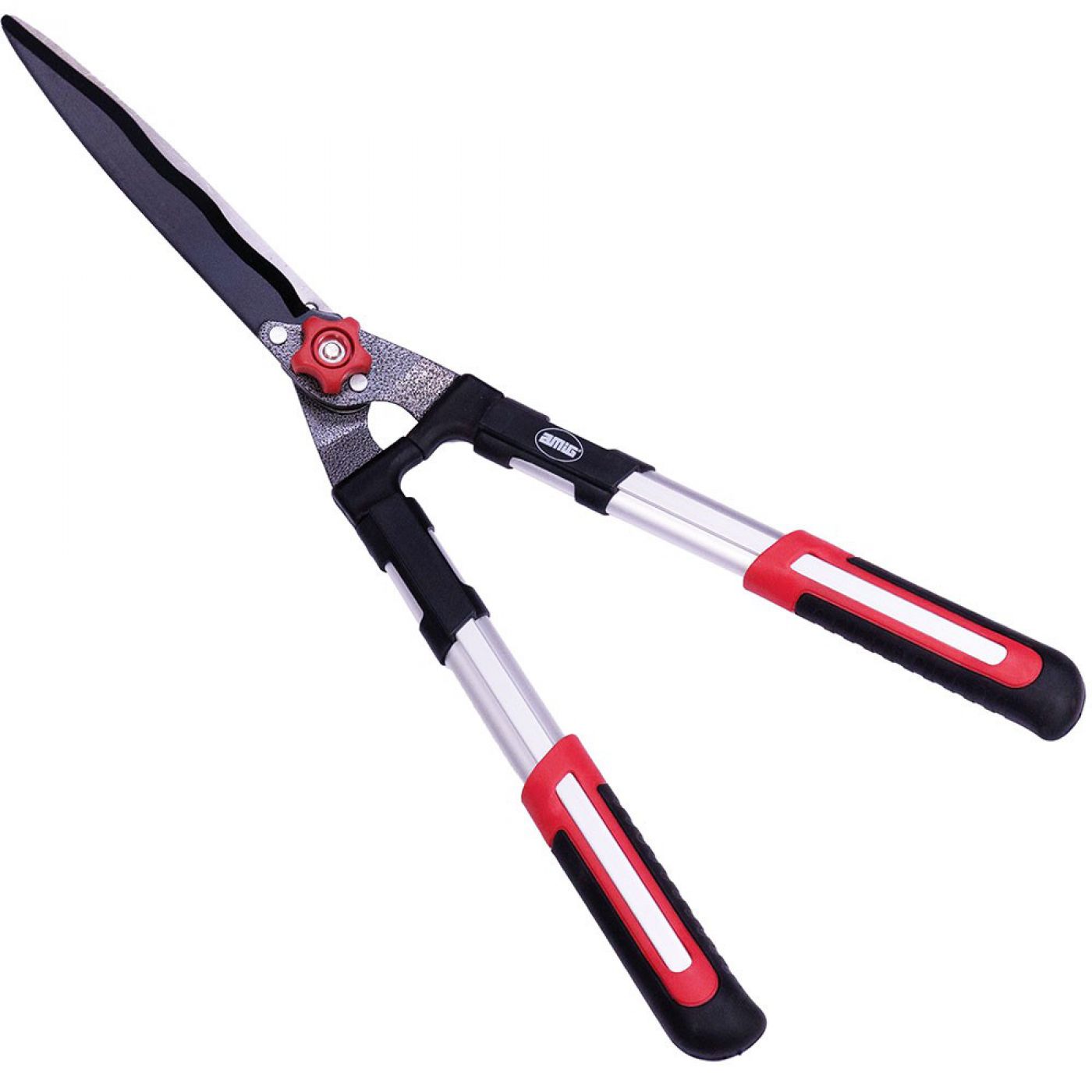 Φωτογραφία