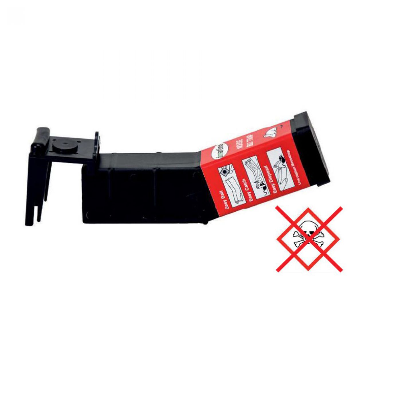 Φωτογραφία