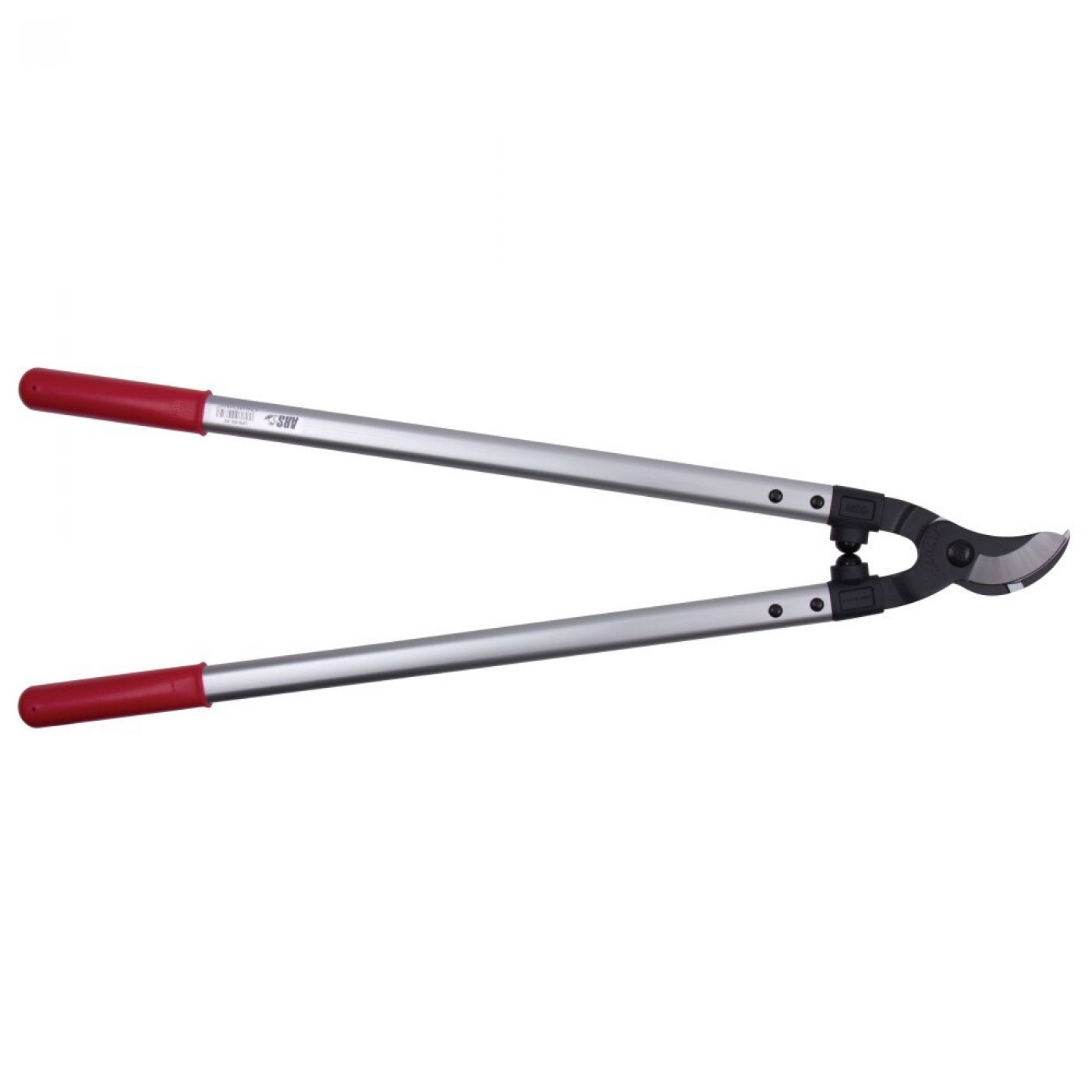 Φωτογραφία