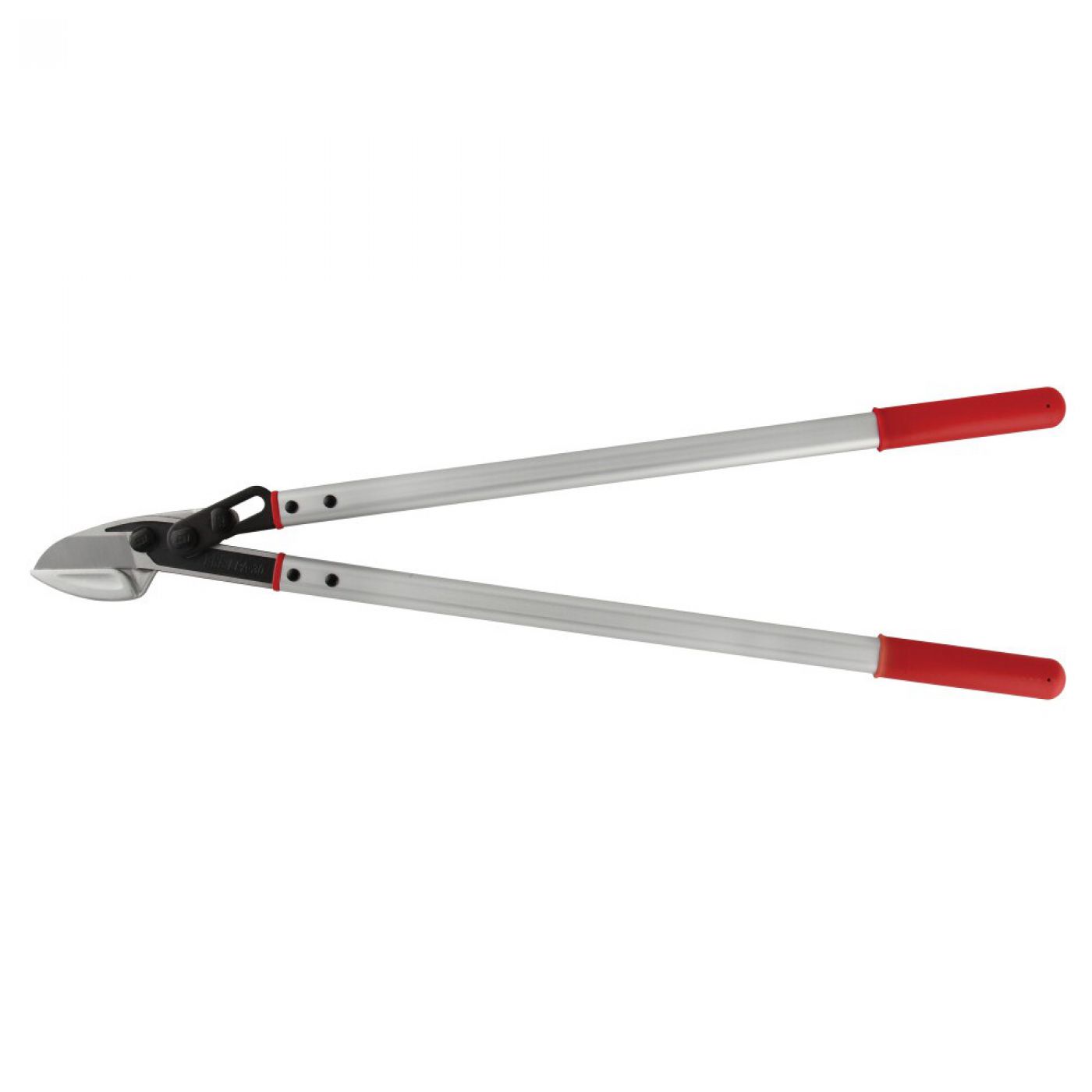 Φωτογραφία