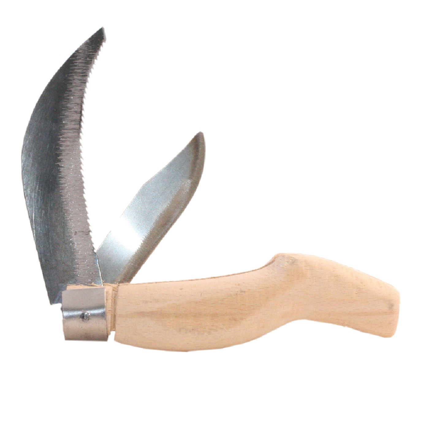 Φωτογραφία