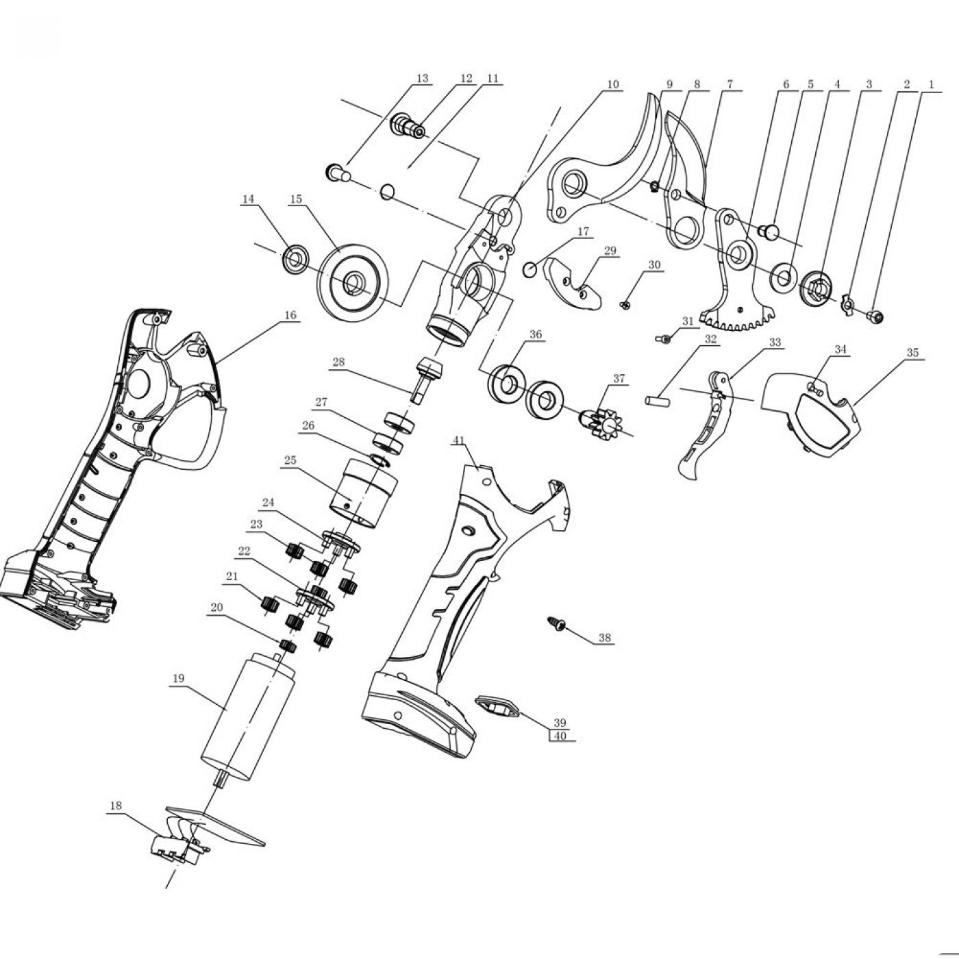 Φωτογραφία