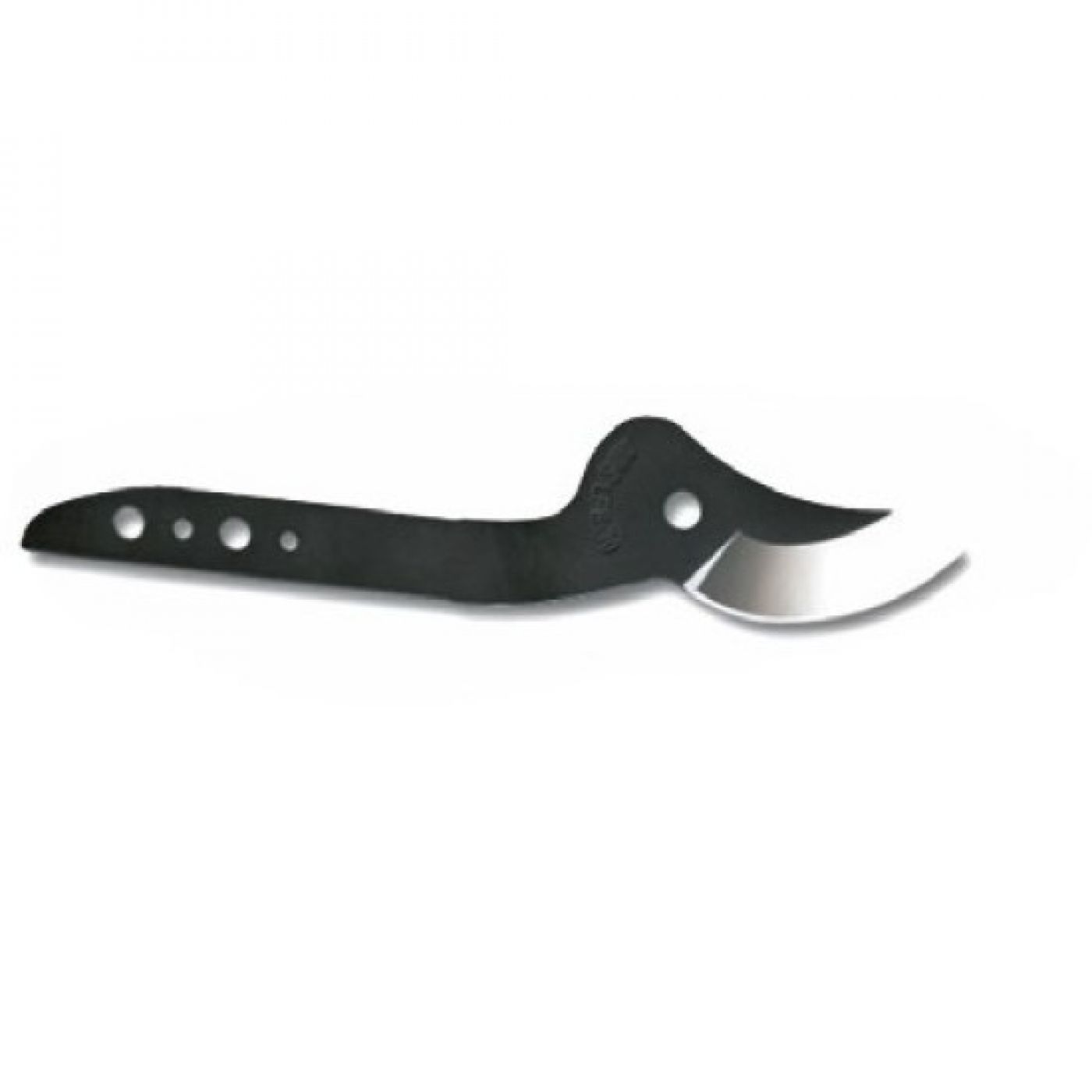 Φωτογραφία