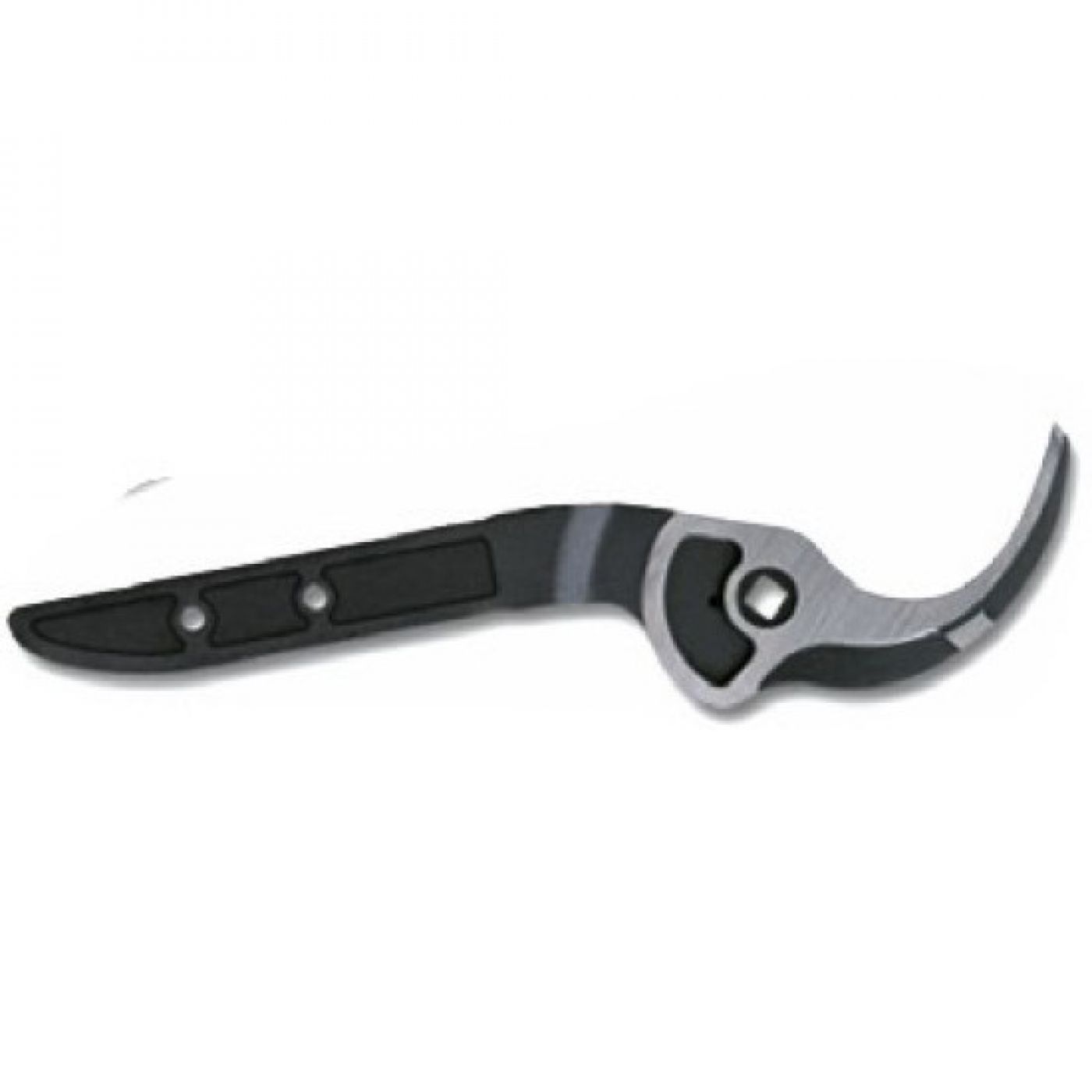 Φωτογραφία