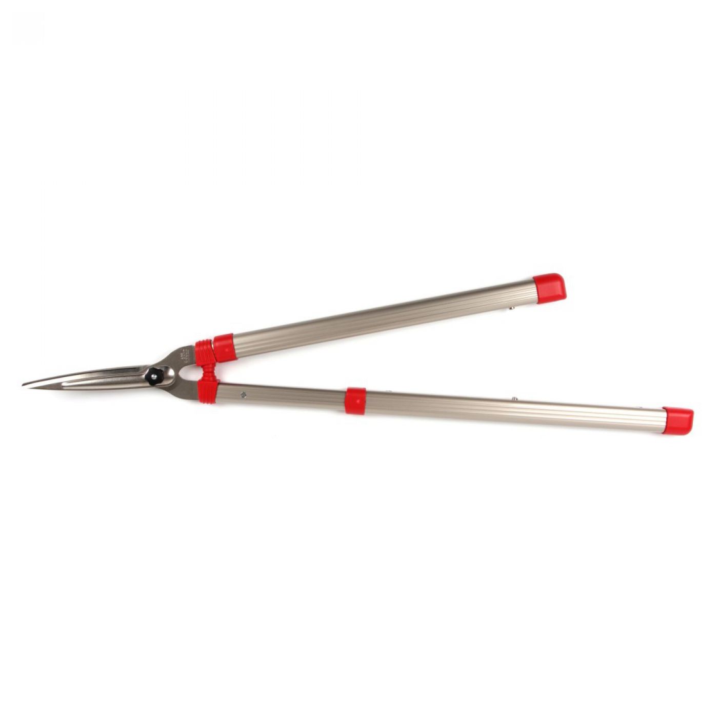 Φωτογραφία