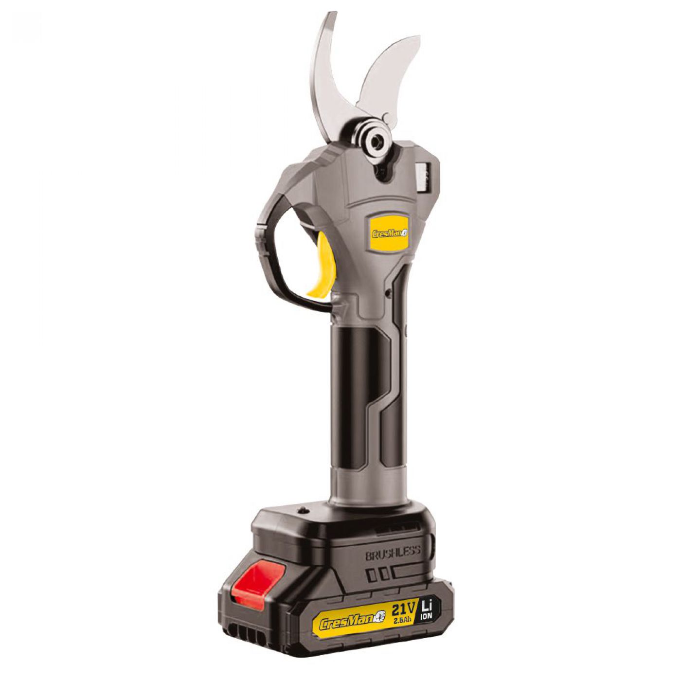 Φωτογραφία