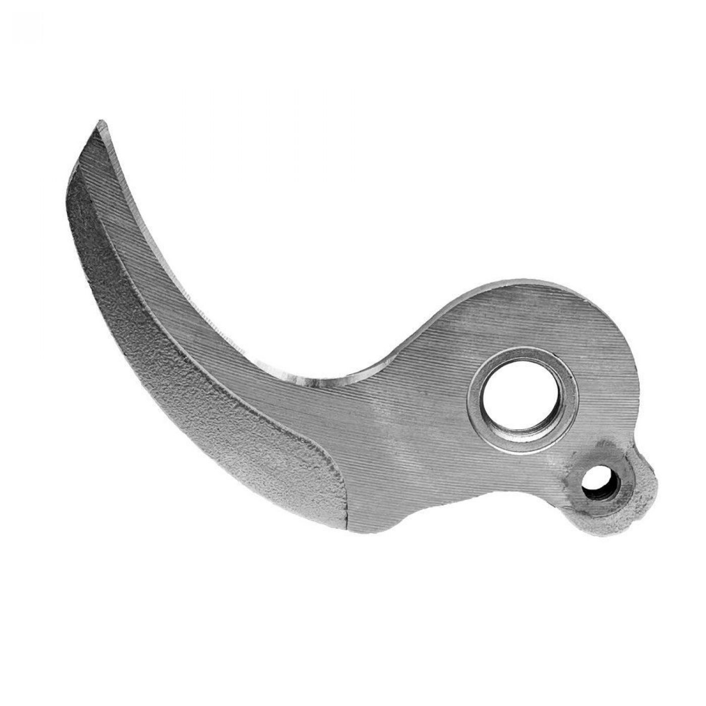 Φωτογραφία