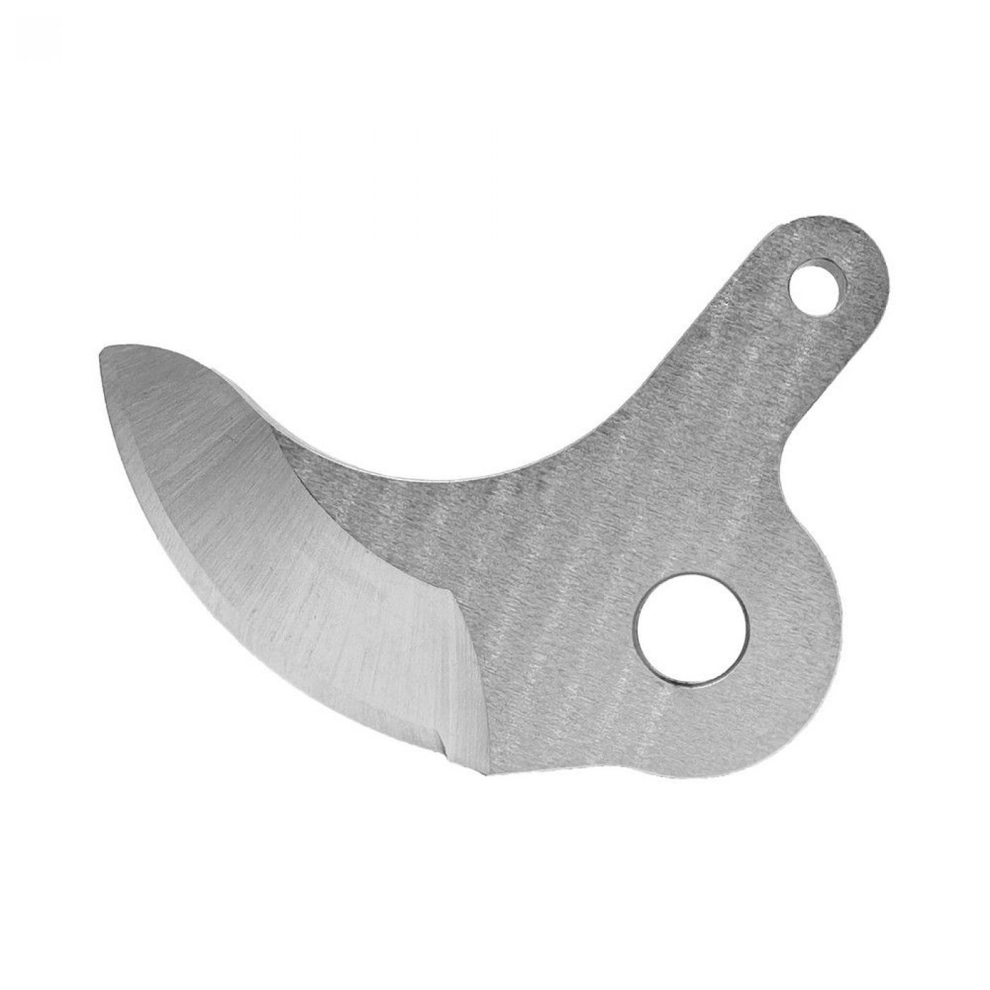 Φωτογραφία