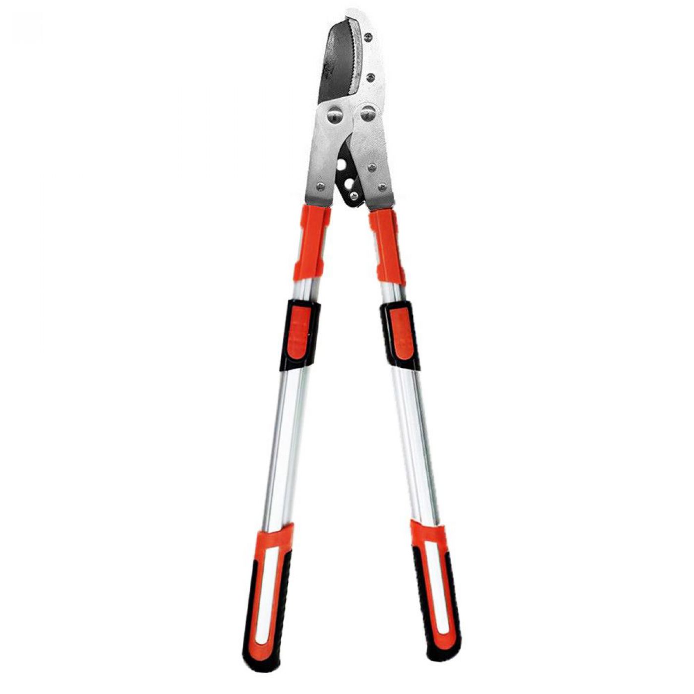 Φωτογραφία