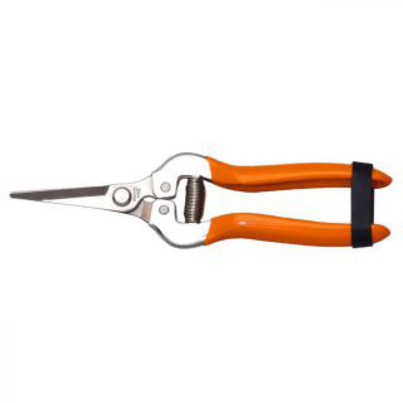 Φωτογραφία