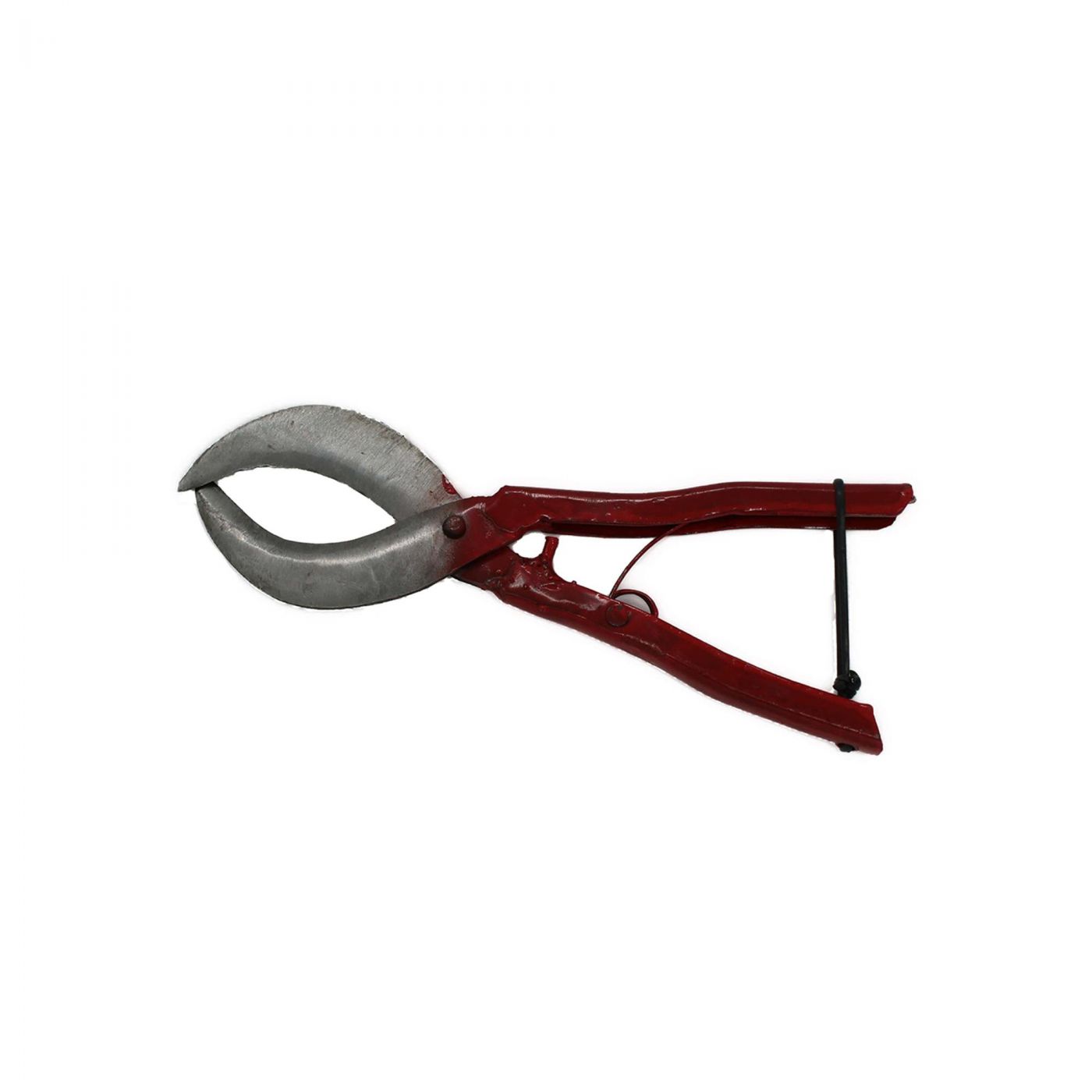 Φωτογραφία