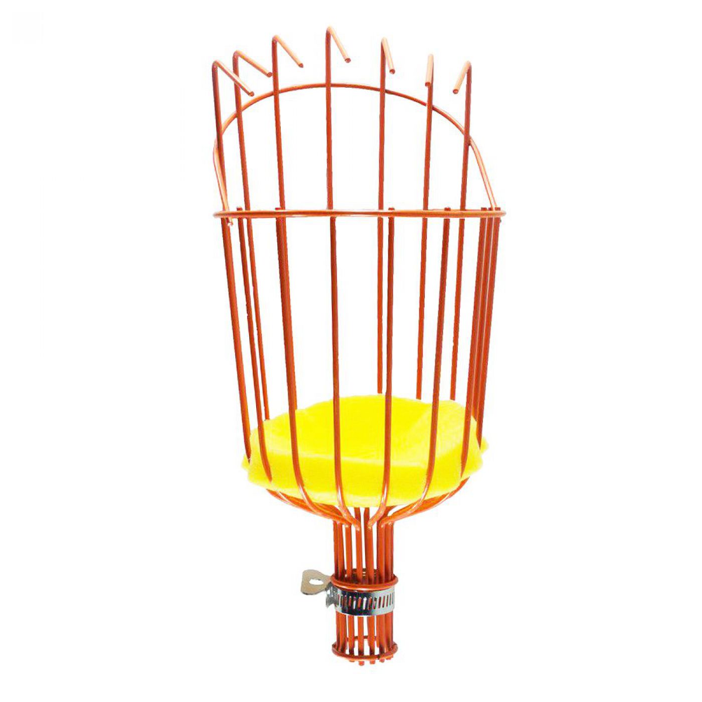 Φωτογραφία