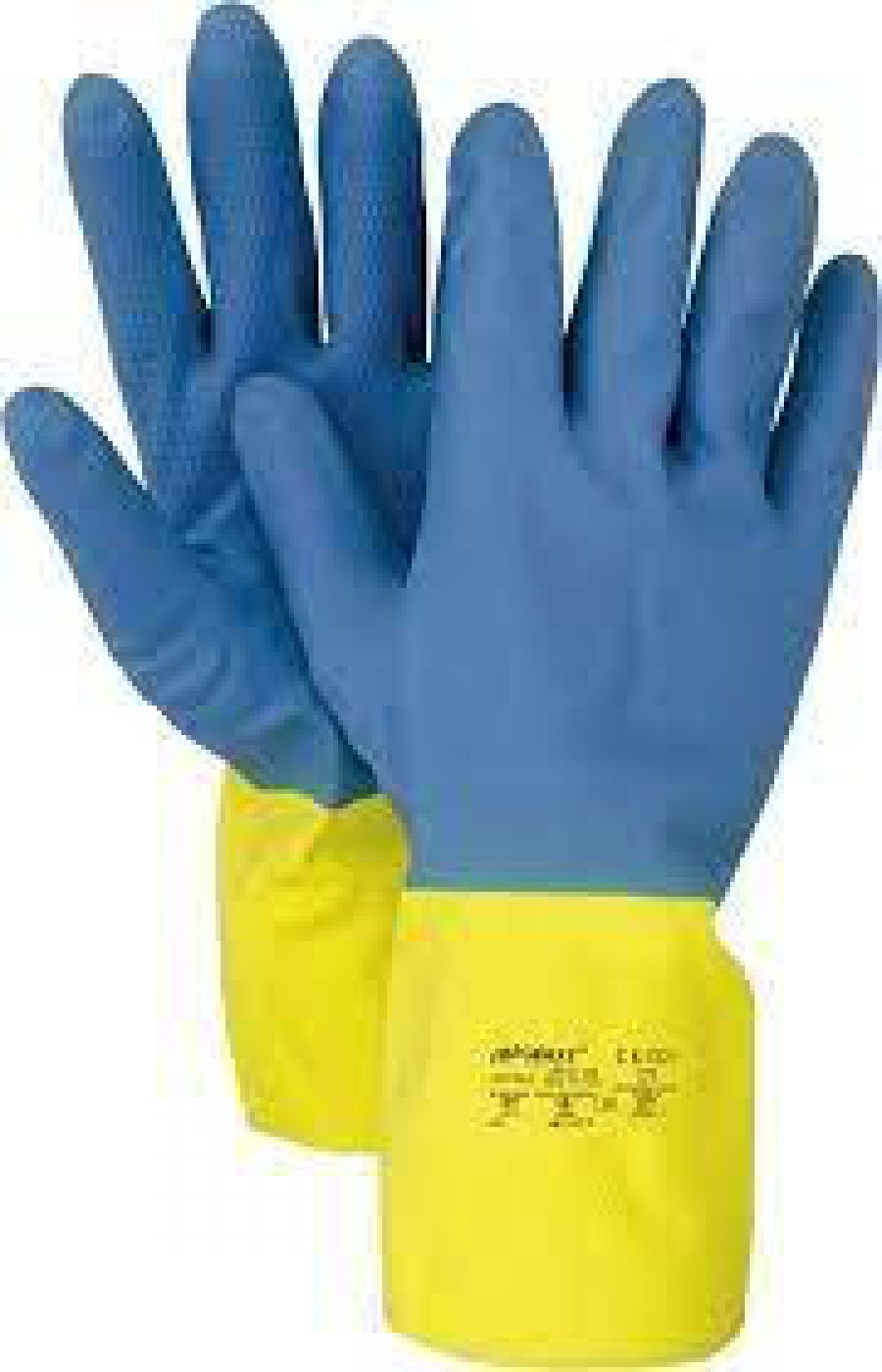 Φωτογραφία