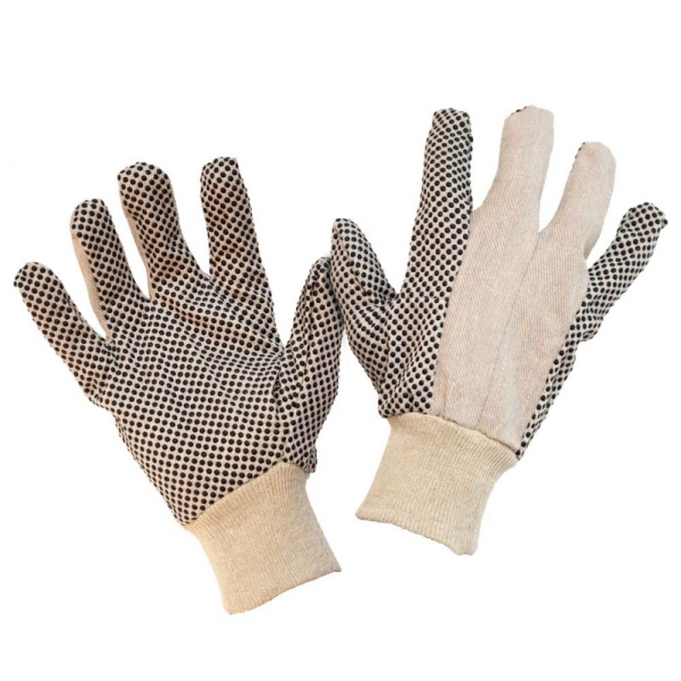 Φωτογραφία