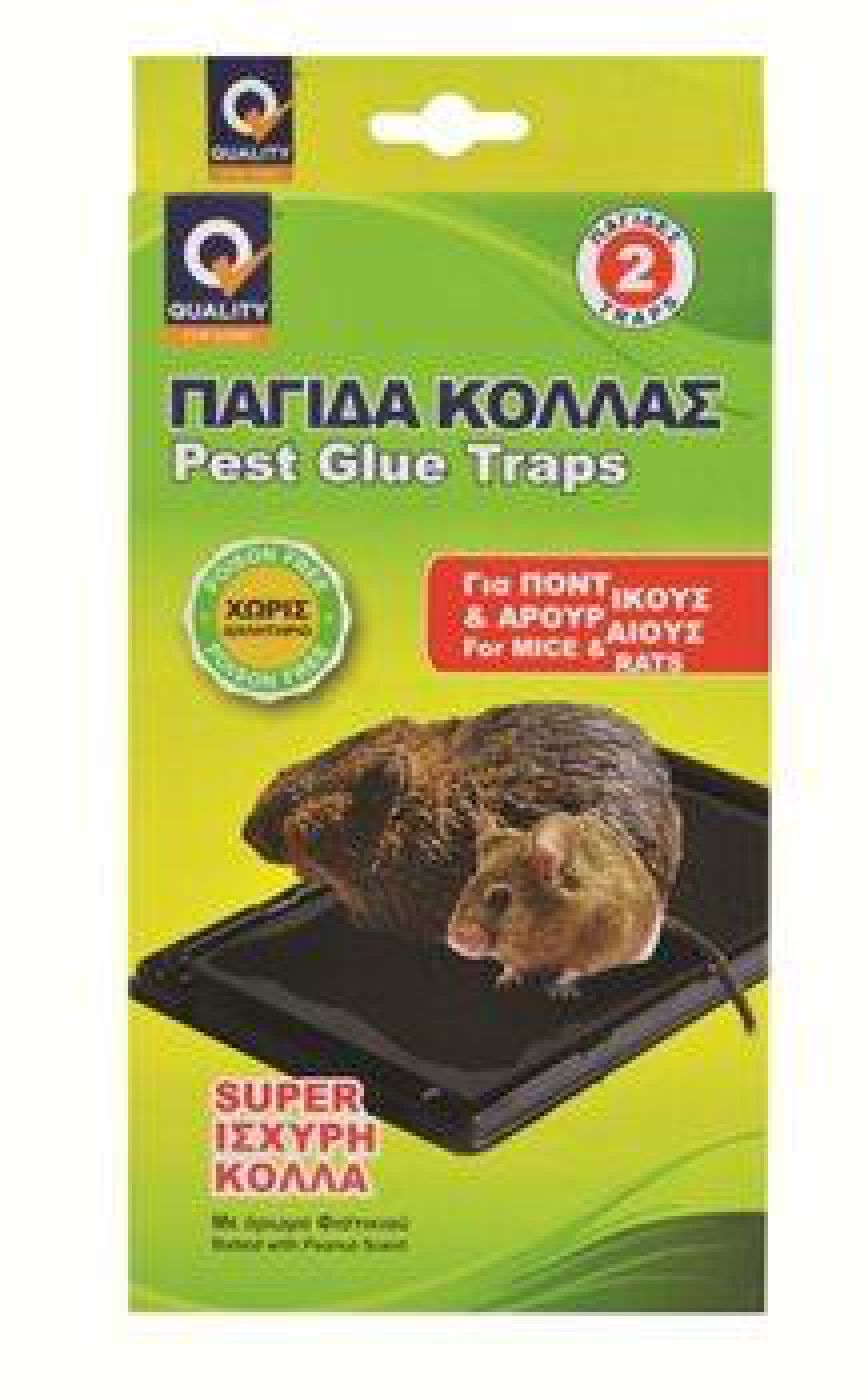 Φωτογραφία