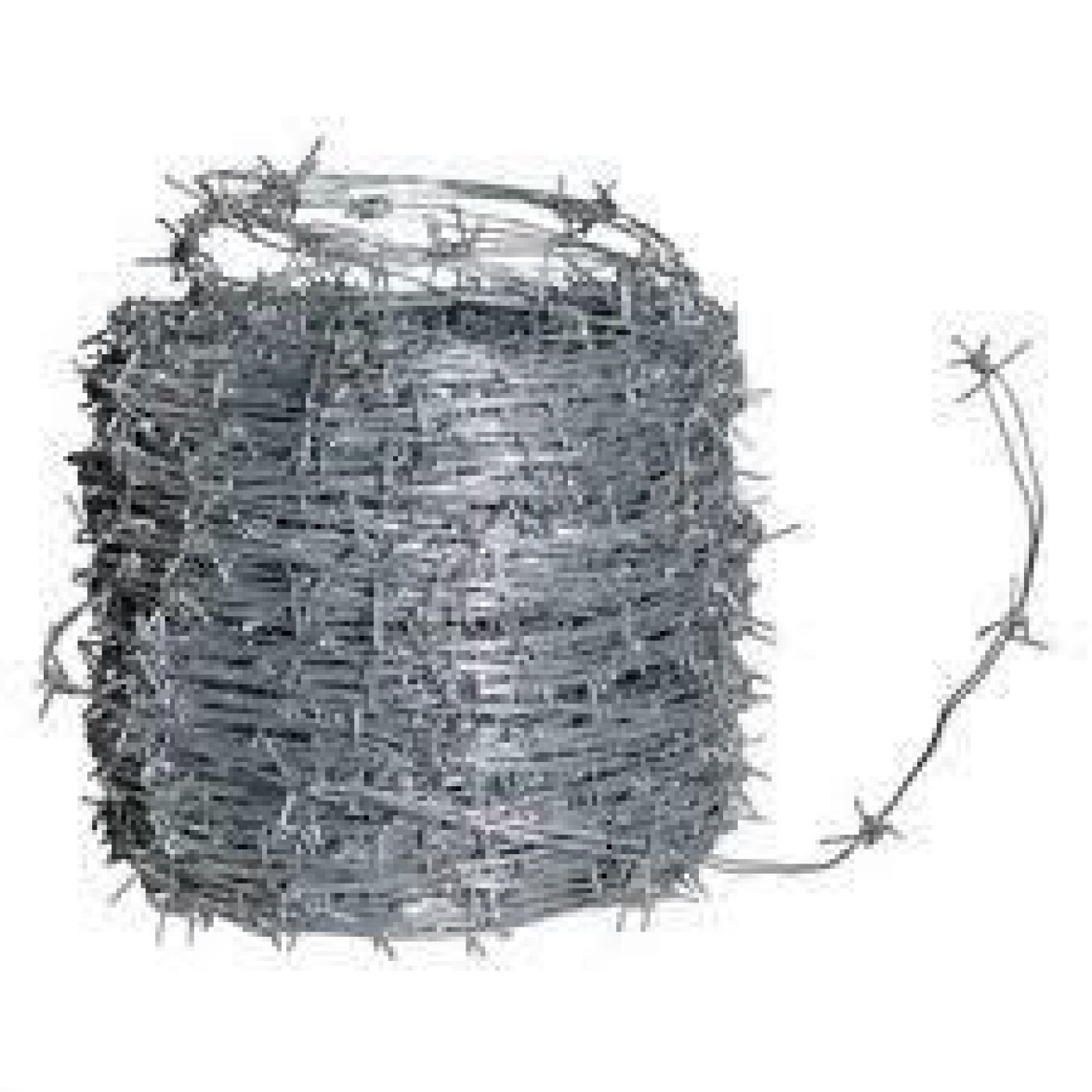 Φωτογραφία