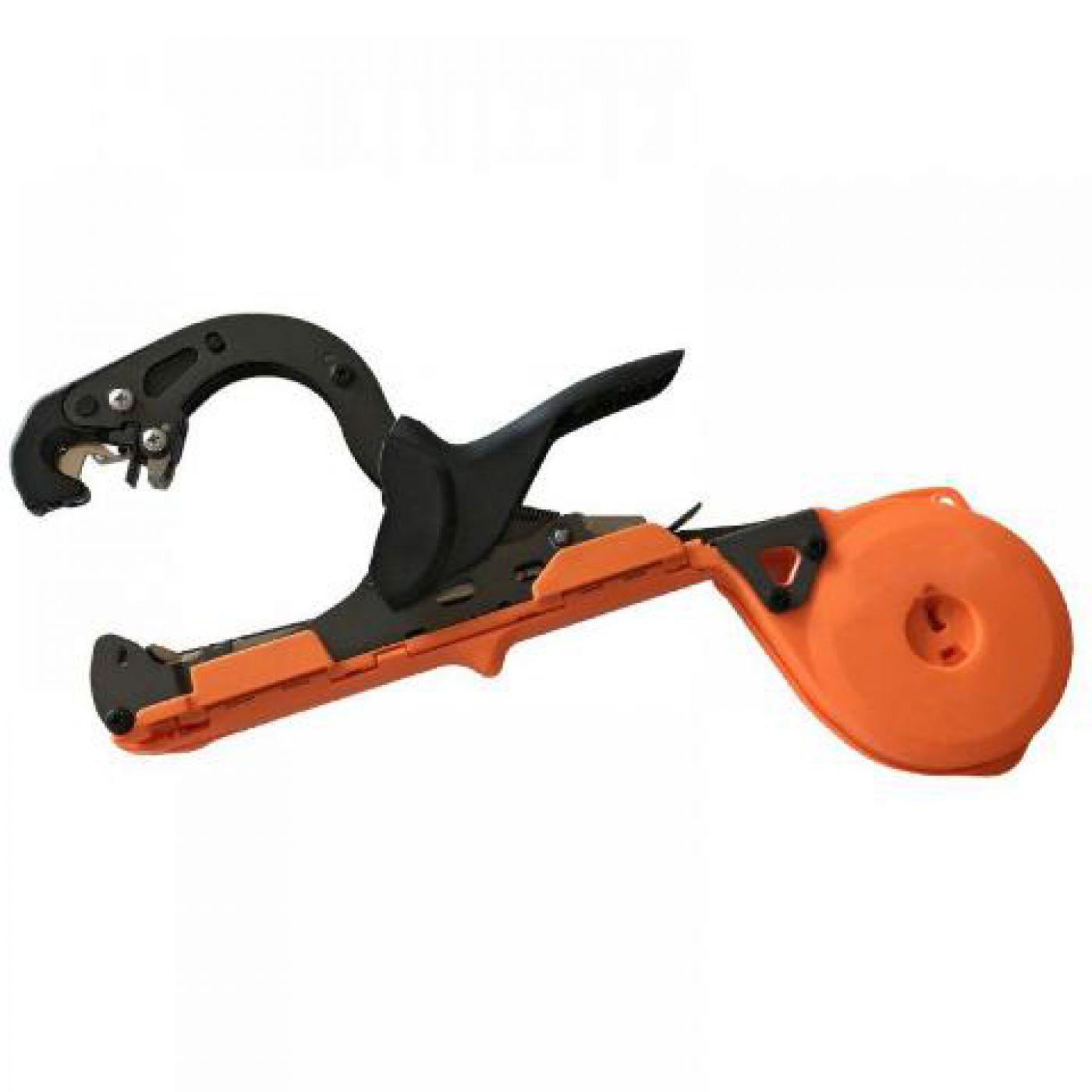 Φωτογραφία