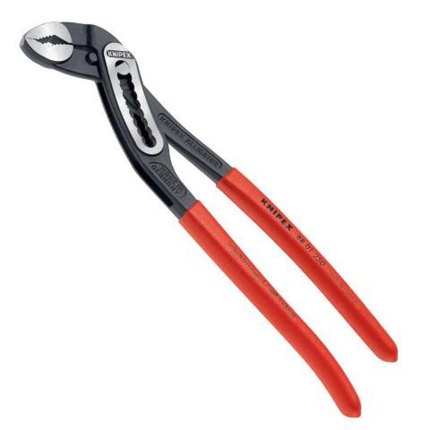 Φωτογραφία