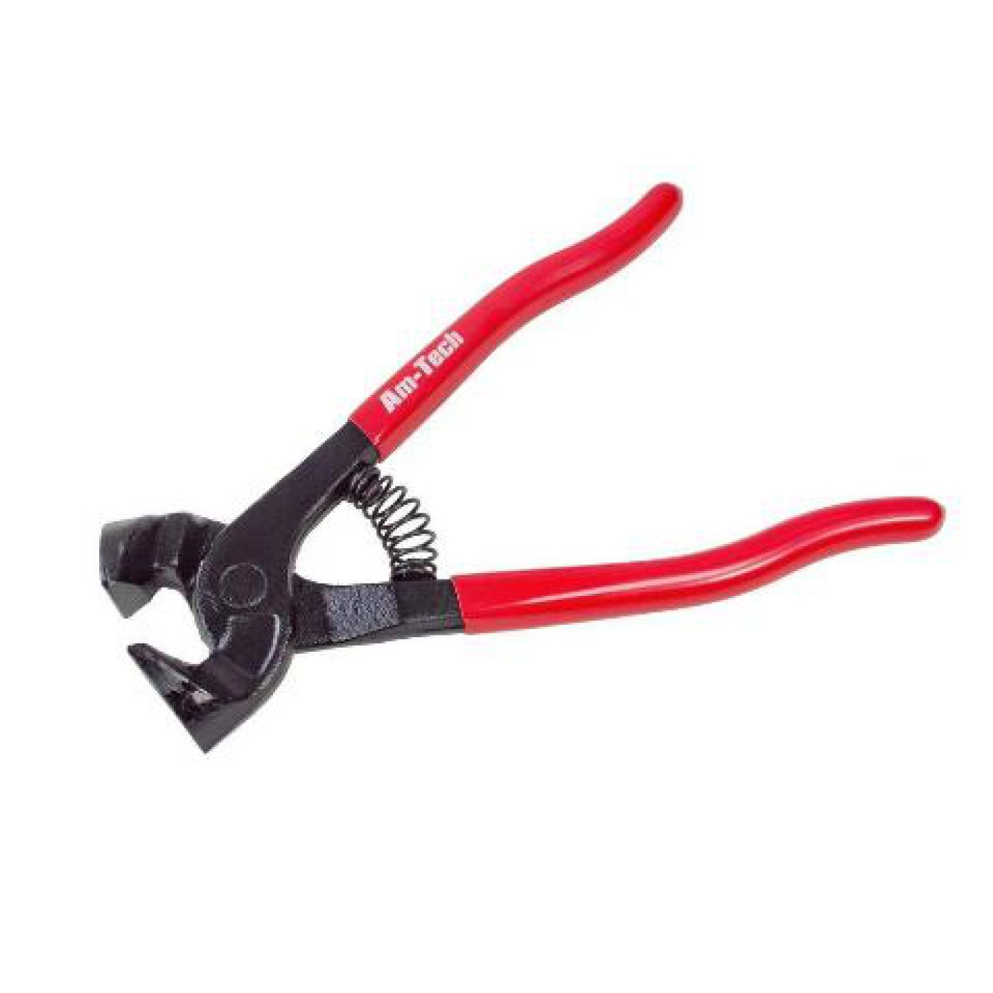 Φωτογραφία