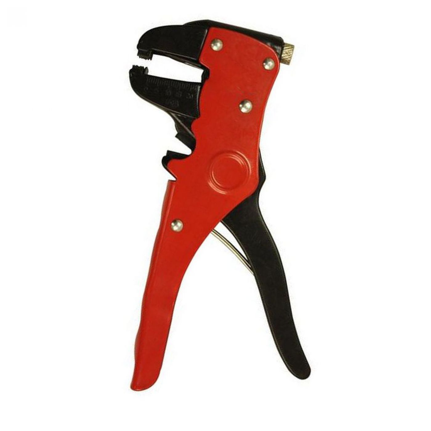 Φωτογραφία