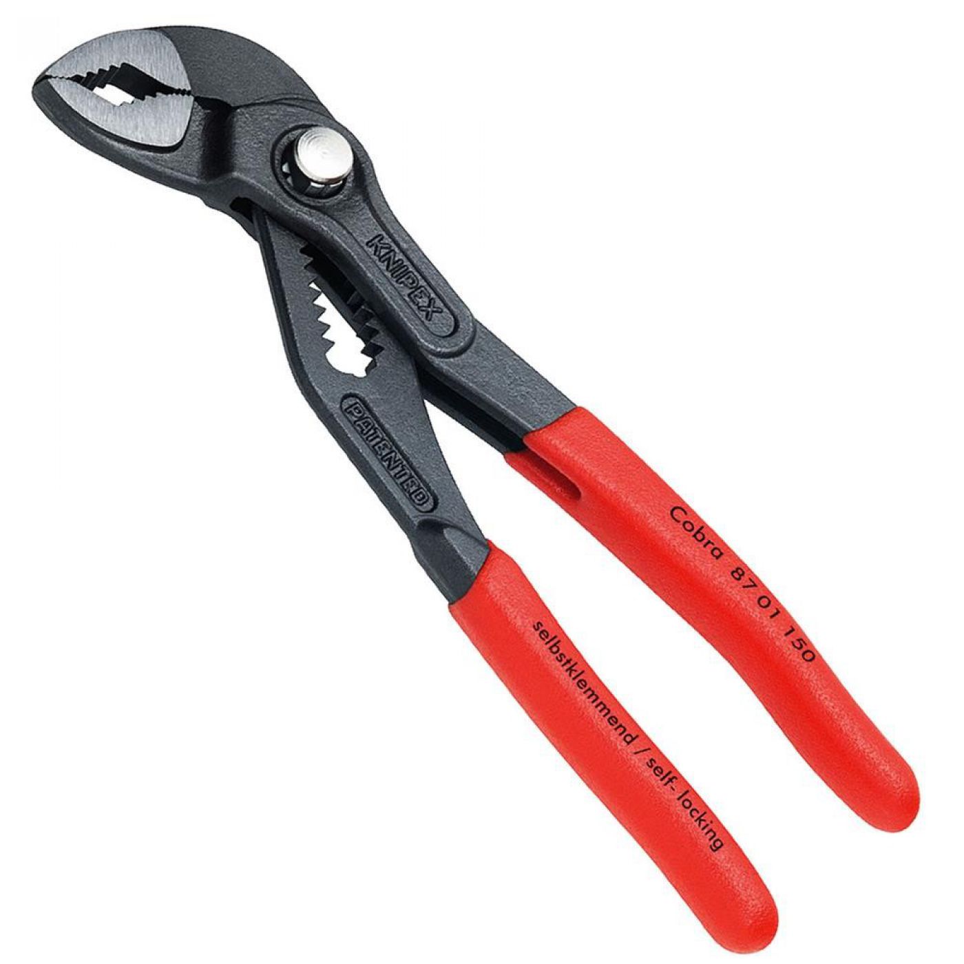 Φωτογραφία