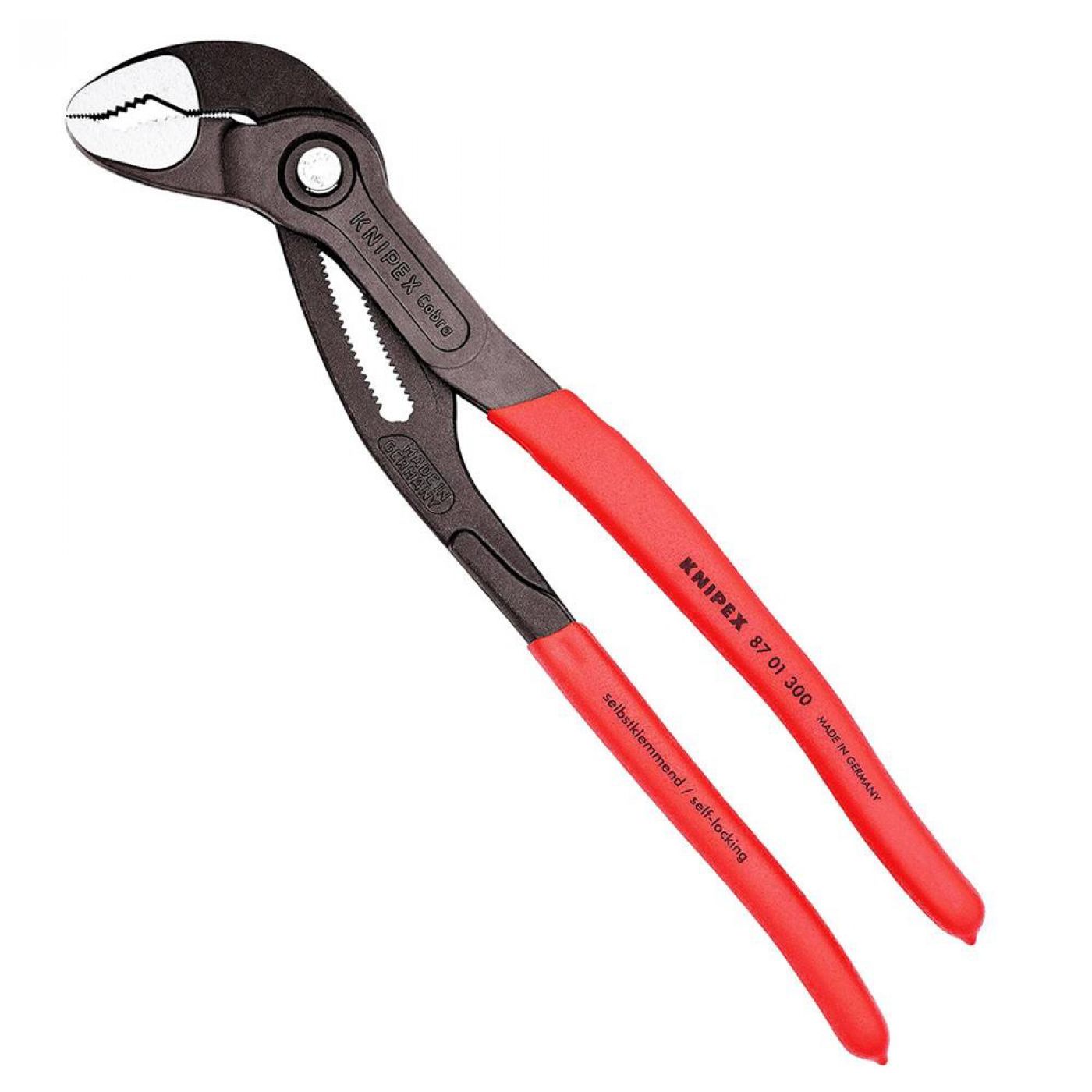 Φωτογραφία