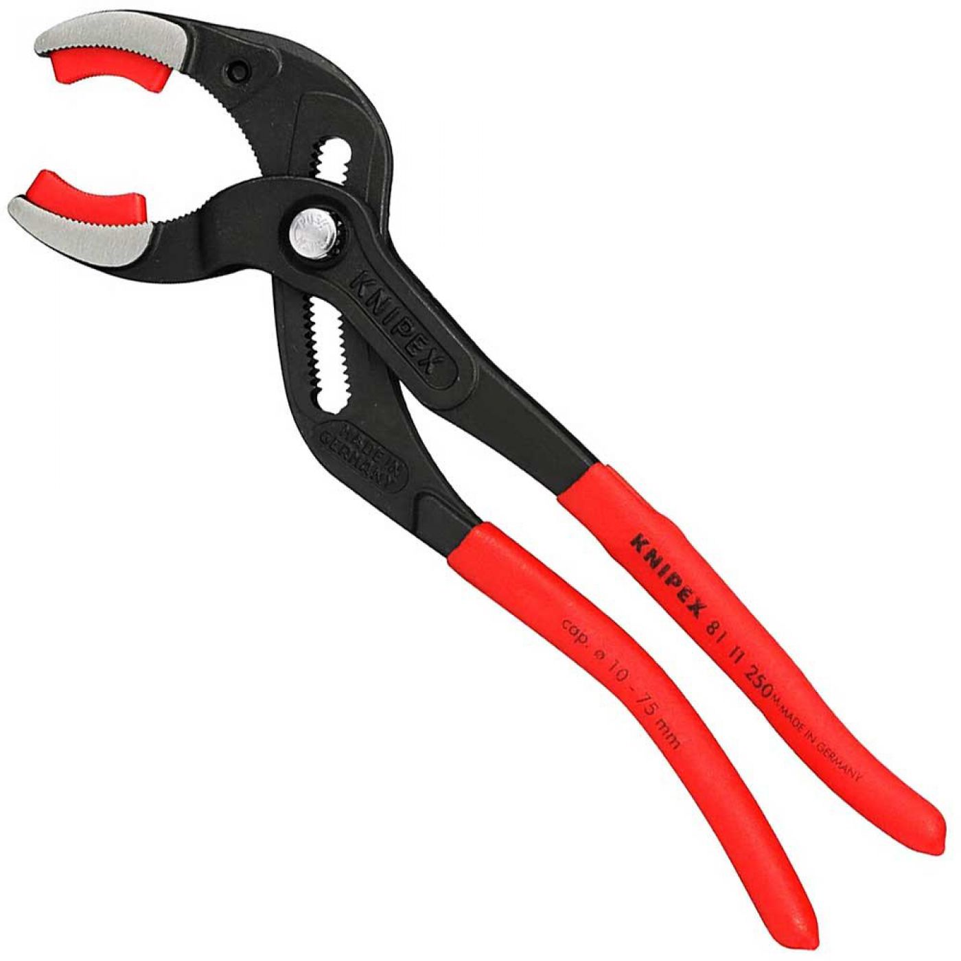 Φωτογραφία