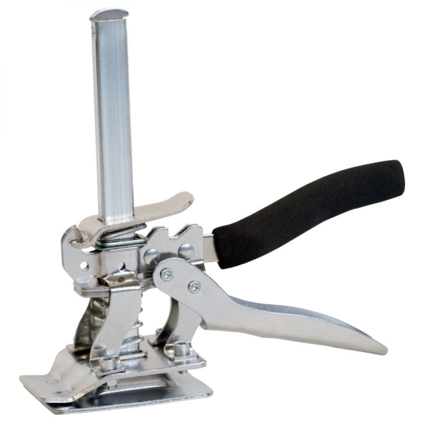 Φωτογραφία