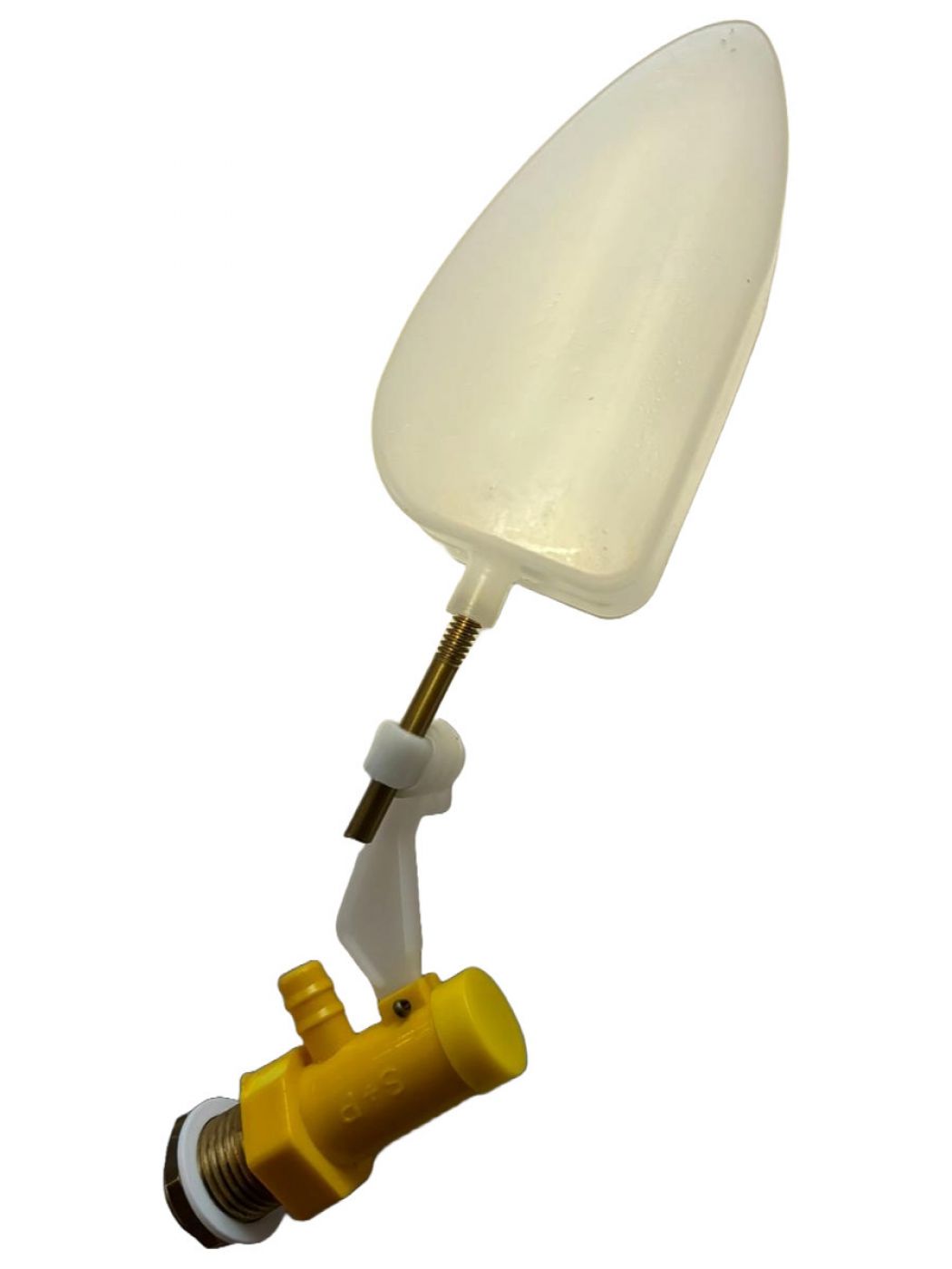 Φωτογραφία