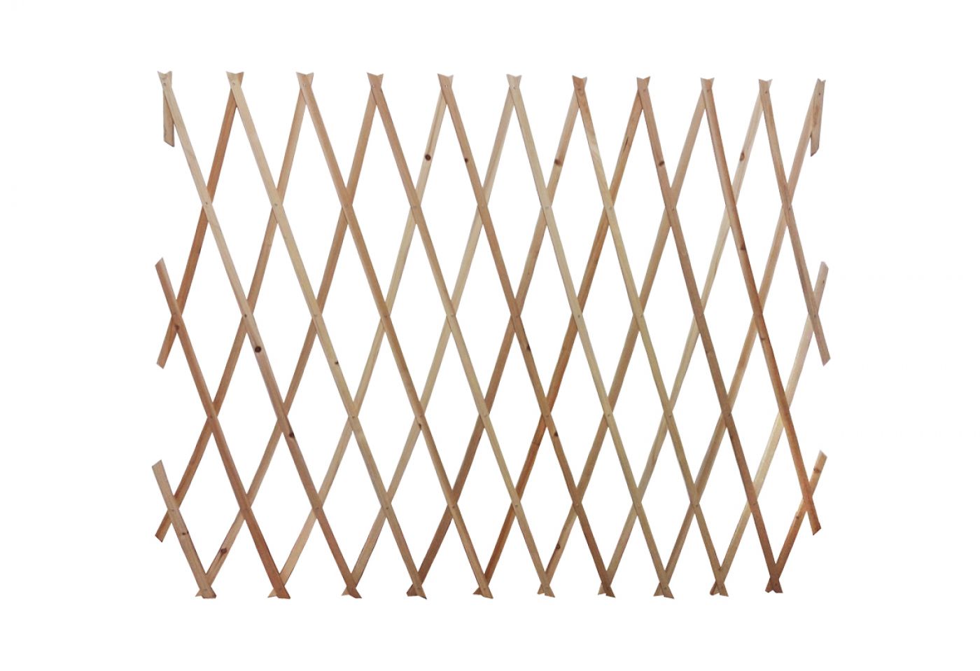 Φωτογραφία