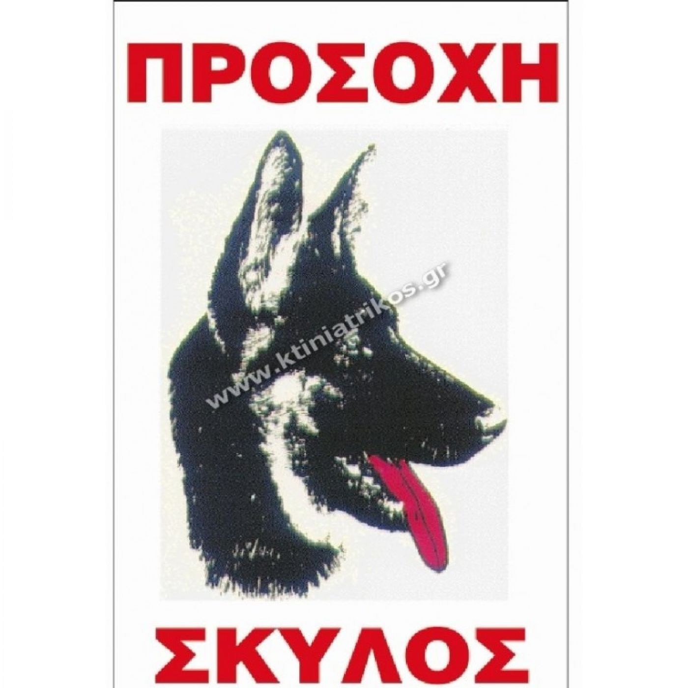 Φωτογραφία