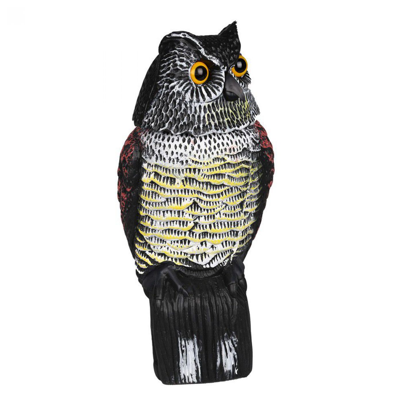 Φωτογραφία