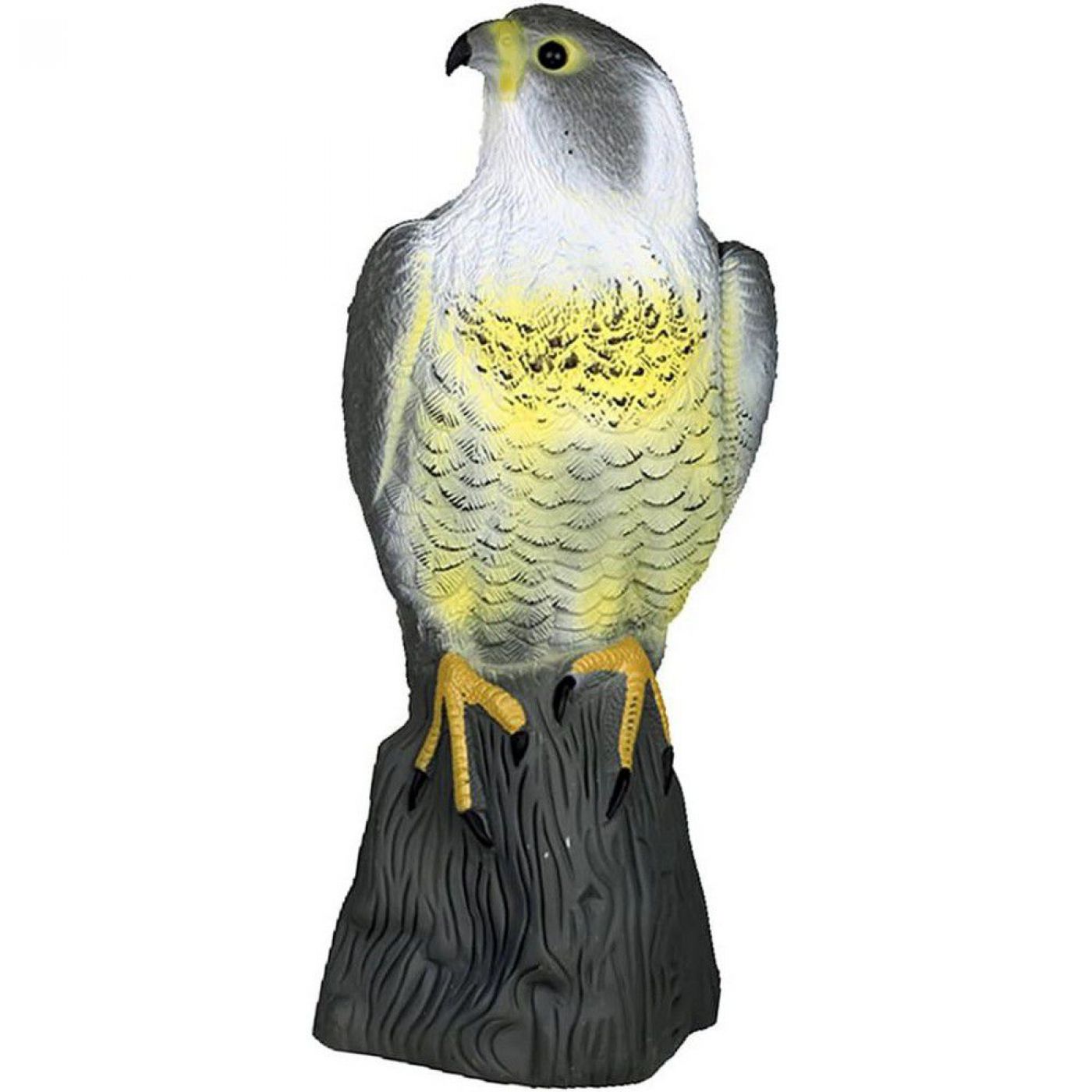 Φωτογραφία